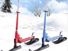 How to choose a winter scooter?