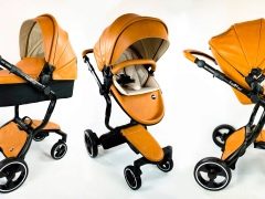 Foo Foo stroller: model range and tips for choosing