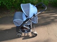 Dauphin strollers: features and popular models