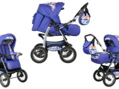 Emily strollers: characteristics and advice for choosing