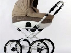 Retrus strollers: model features and tips for choosing