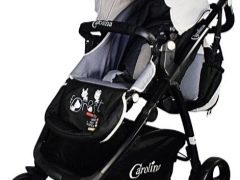 Strollers Carolina: characteristics and model range