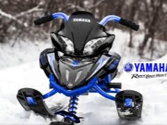 Yamaha snow scooters: caratteristiche del modello e suggerimenti per la scelta