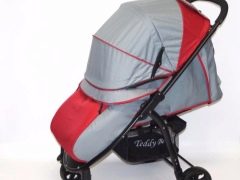 Model range and characteristics of Teddy Bear wheelchairs