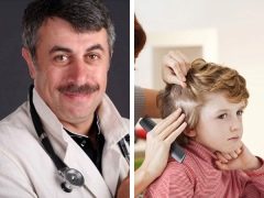 Dr. Komarovsky about what to do if a child has lice