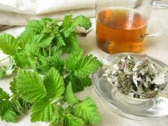 The use of raspberry leaves before childbirth