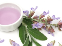 Caratteristiche di salvia per bambini