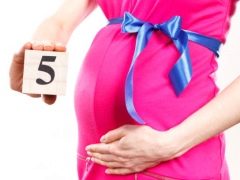 Fifth month of pregnancy