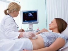 Desarrollo fetal por semana de gestación.