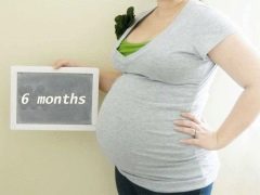 Sixth month of pregnancy