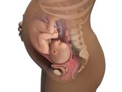 Ano ang gagawin sa tono ng matris sa ika-3 trimester ng pagbubuntis?