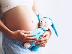 Features of the second trimester of pregnancy