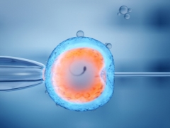 Als u kiest voor IVF: hoe kan de kwaliteit van eieren verbeteren en de kans op conceptie toenemen?