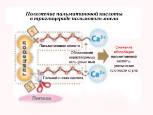 Palmitic acid in palm oil