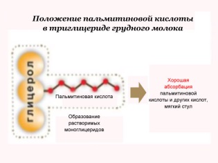 Palmitic acid in breast milk