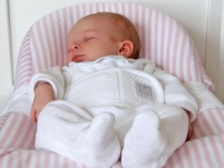 Cocoonababy Cocoon Mattress