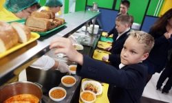 Los escolares van a prohibir traer comida a la casa de la escuela