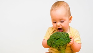 Comida de brócoli: ¿qué considerar y cómo cocinar?