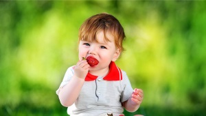 ¿Desde qué edad y cuándo le puedes dar fresas a un niño?