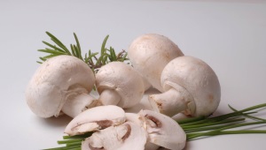 At what age can mushrooms be given to children?