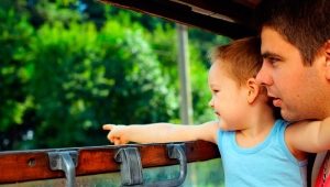 ¿Cómo llevar a un niño en el tren?