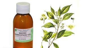 The use of camphor oil in the treatment of children