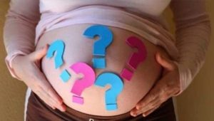 È possibile determinare il sesso di un bambino senza un'ecografia?