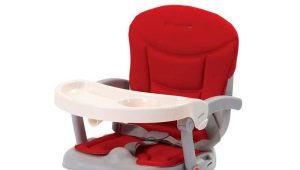 Chairs for feeding Сam: features of choice