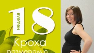 18 săptămâni de sarcină: ce se întâmplă cu fătul și cu mama așteptată?