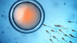 What is oligospermia and how does it affect conception?