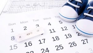 Ovulation calendar for conception: calculator of the most appropriate days