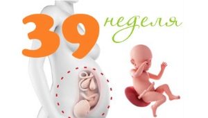 Fetus la săptămâna 39 de sarcină: norme și caracteristici