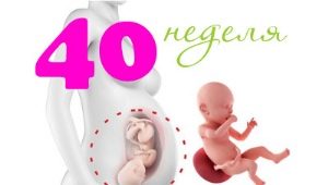 Feto a las 40 semanas de gestación: normas y características.