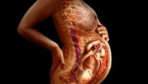 Causes of a thin placenta during pregnancy and the effects of hypoplasia