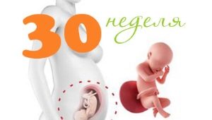 Fetal development at 30 weeks gestation