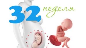 Fetal development at 32 weeks gestation