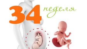 Desarrollo fetal a las 34 semanas de gestación.