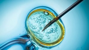 How does the church relate to IVF?