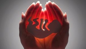 Ang epekto ng IVF sa kalusugan ng kababaihan: ang mga kalamangan at kahinaan