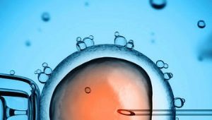 Todas las estadísticas sobre la FIV: desde la probabilidad de embarazo desde la primera vez hasta el porcentaje de complicaciones.