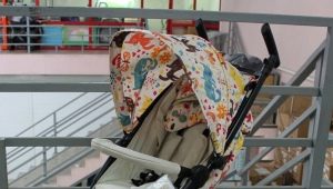 Happy Baby strollers: opis i kriteriji odabira, prednosti i nedostaci