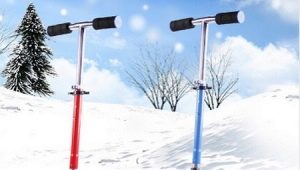 How to choose a winter scooter?