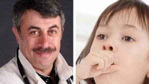 Dr. Komarovsky about the croup in children