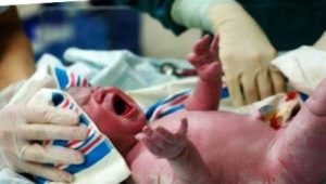 Newborn asphyxia: from cause to effect