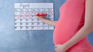 How to count the weeks of pregnancy and why the calculation may be different?