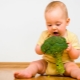 Cibo per broccoli: cosa considerare e come cucinare?