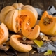 È possibile mangiare la zucca cruda per i bambini e a che età darle?