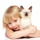 What is felinotherapy, its benefits for children