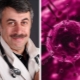 Dr. Komarovsky sull'infezione da citomegalovirus