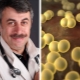 Dr Komarovsky o Staphylococcus aureus